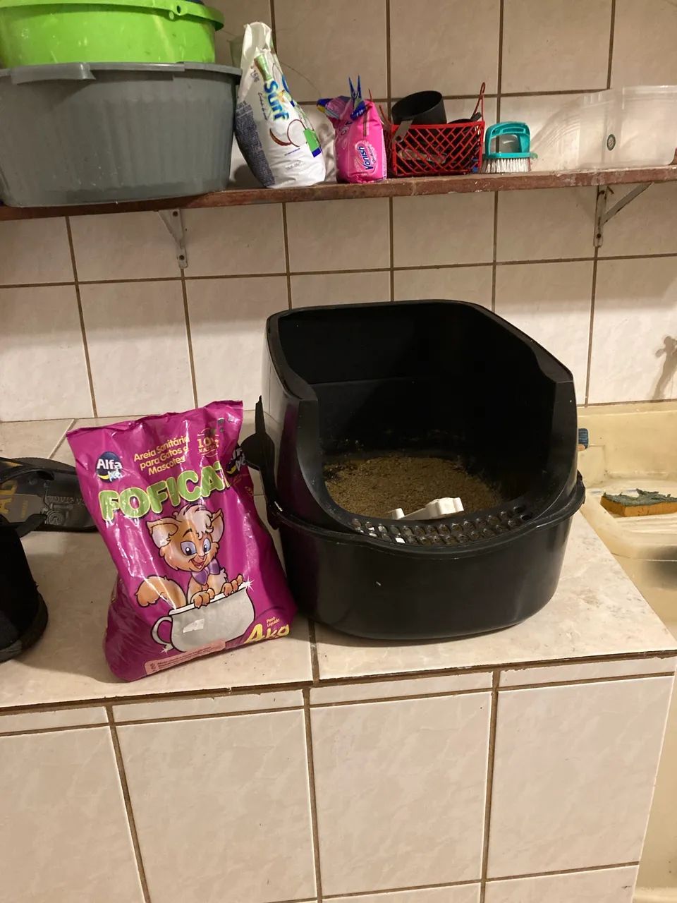 Caixa de areia para gato