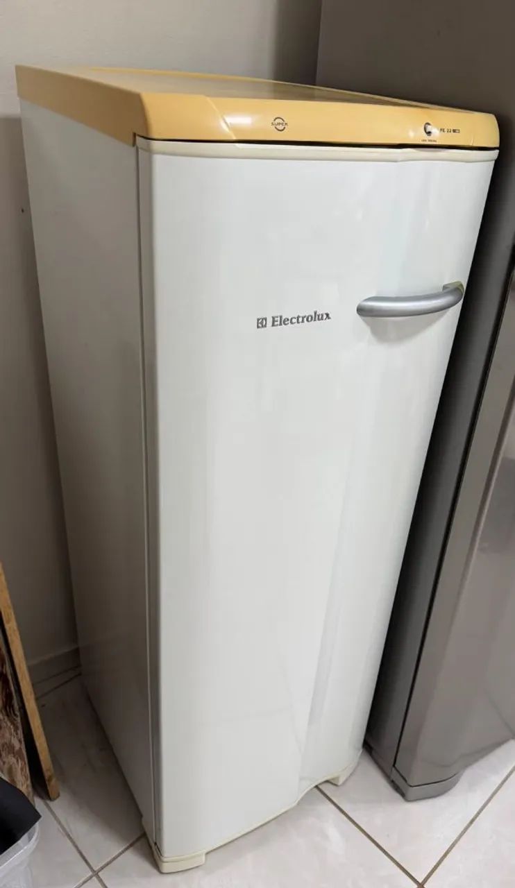 Freezer vertical Electrolux Fe22