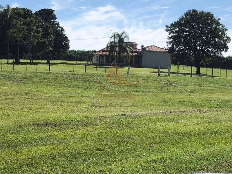 Fazenda - Marília - Zona Rural - Foto 3