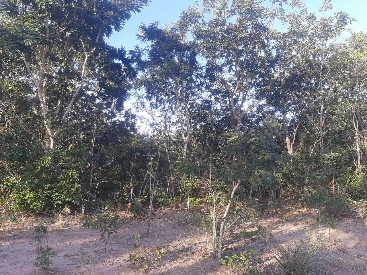 500 há com muita água em MG