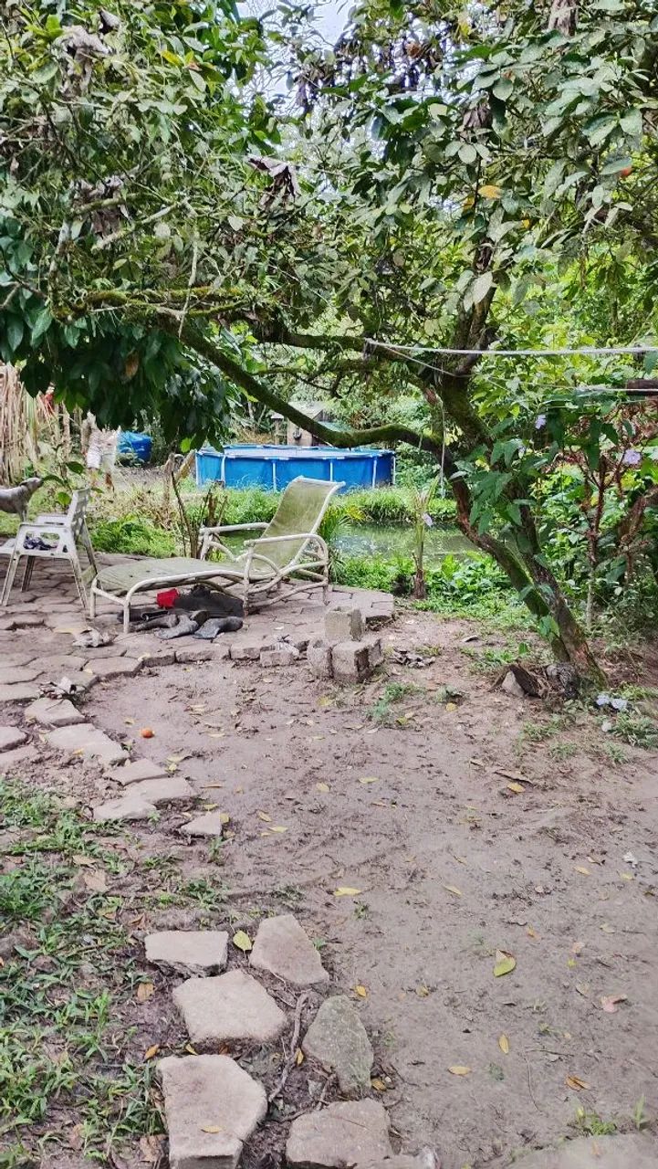 Chácara completa com árvores frutíferas parquinho e lago com tilápias  - Foto 5