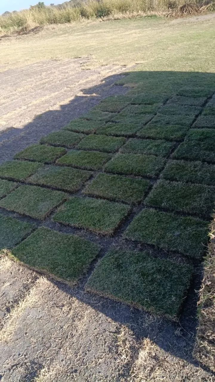 4,60 GRAMA ESMERALDA PRA RETIRAR  - Foto 5