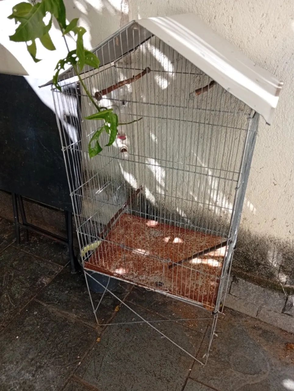 Viveiro de pé para pássaros 