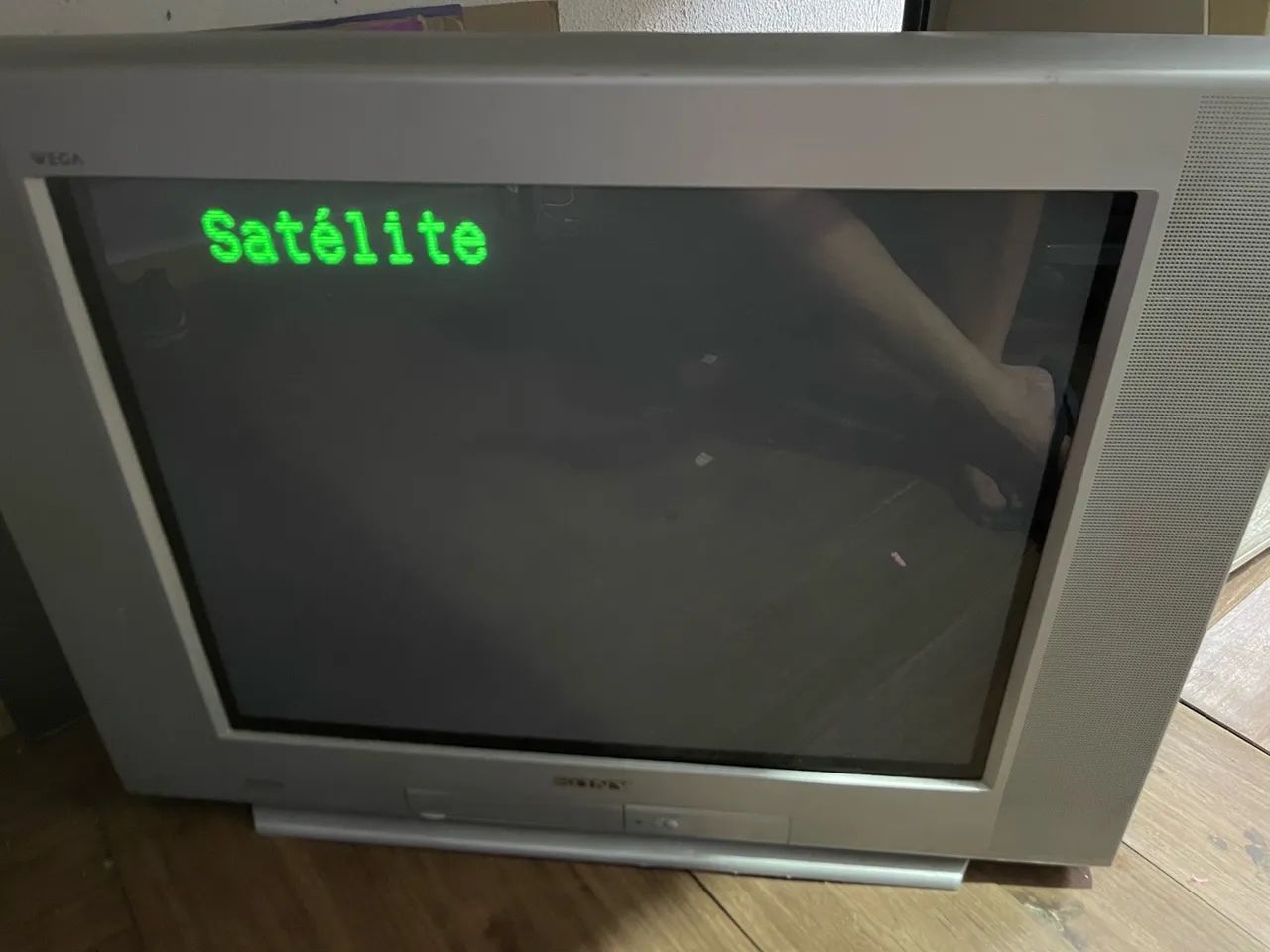 TV 29 Sony Retrô gamer zerada 