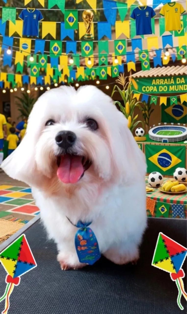 Procura uma namorada - Foto 3