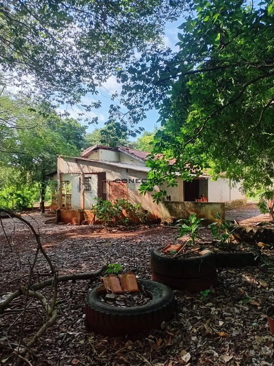 Chácara | Vila Rural | Ibiporã - Foto 4