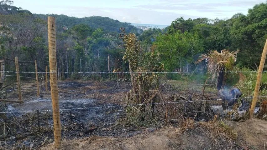 TERRENO À VENDA NO CURURUPE - ILHÉUS/BA - Foto 4