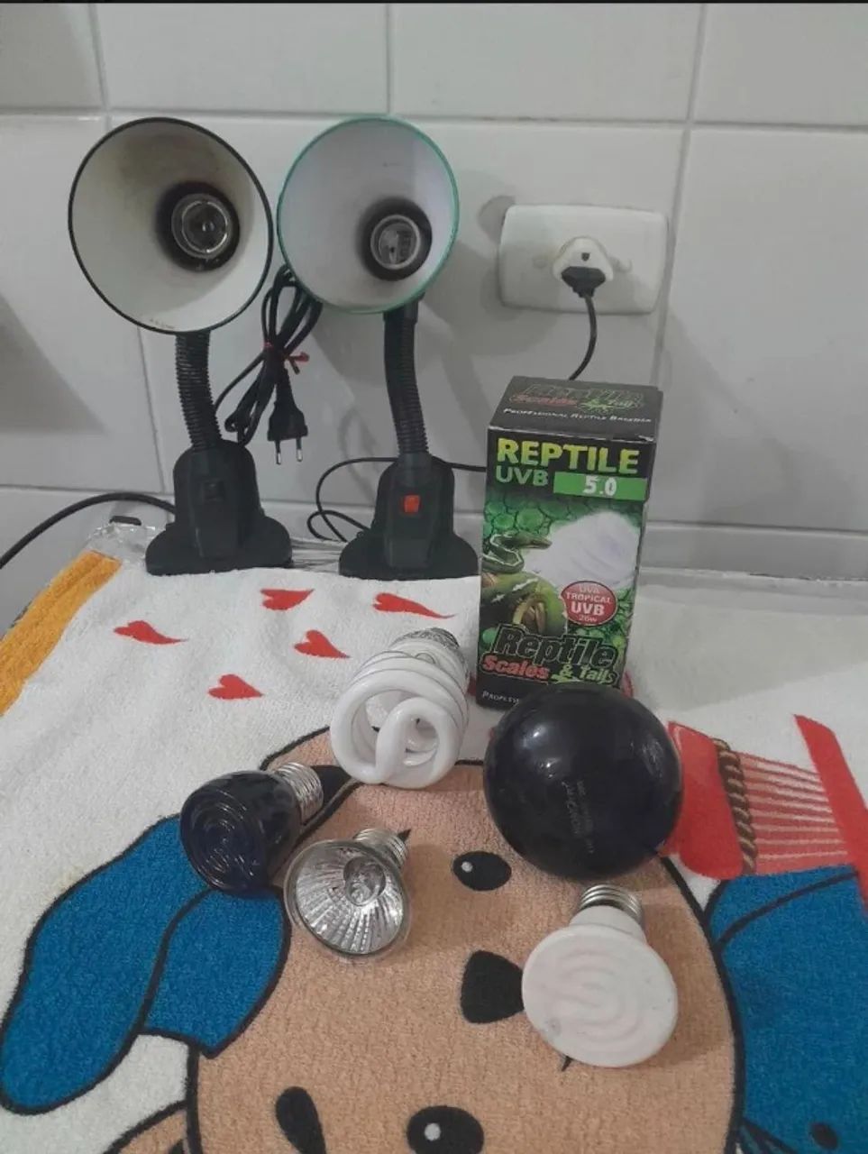 terrario completo - Foto 3