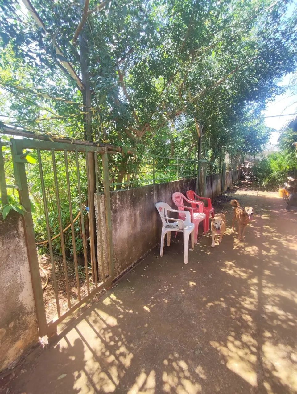 OPORTUNIDADE TERRENO - Foto 4