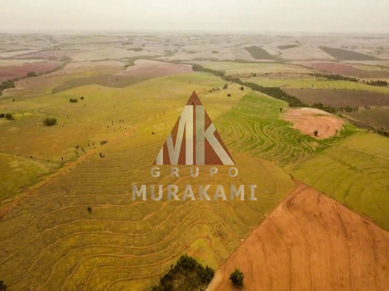 FAZENDA - MARIA HELENA - PR