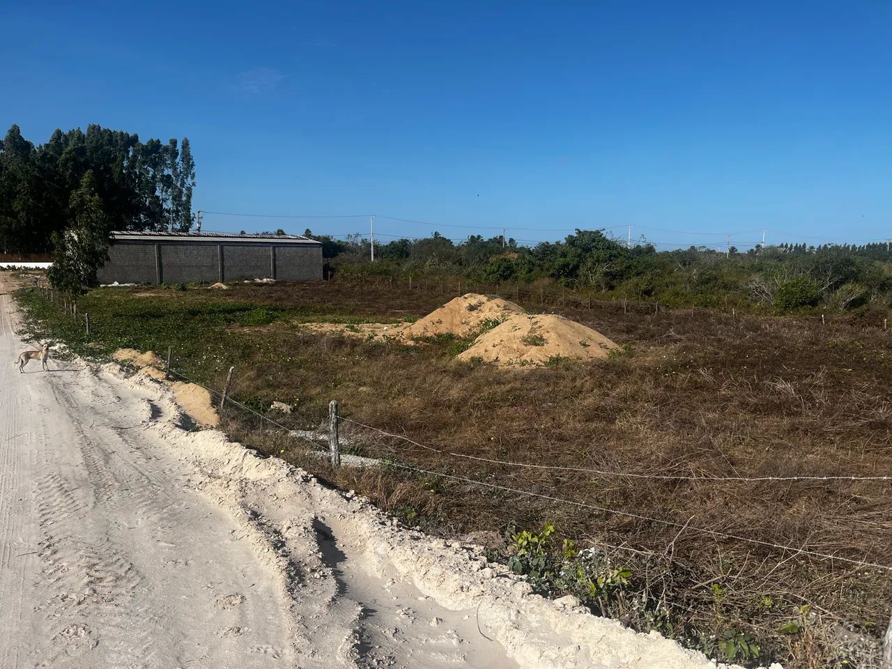 Terreno Preá - Cruz - CE - Foto 3