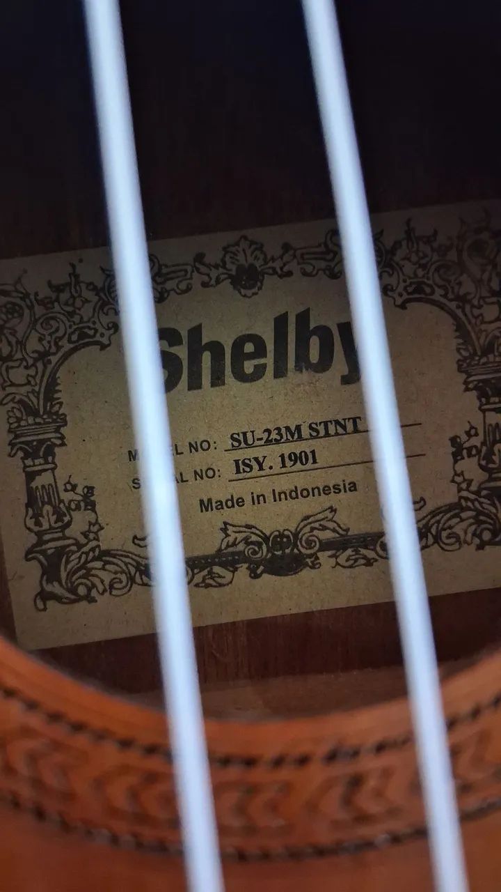 Ukulele Concert Shelby - Foto 2