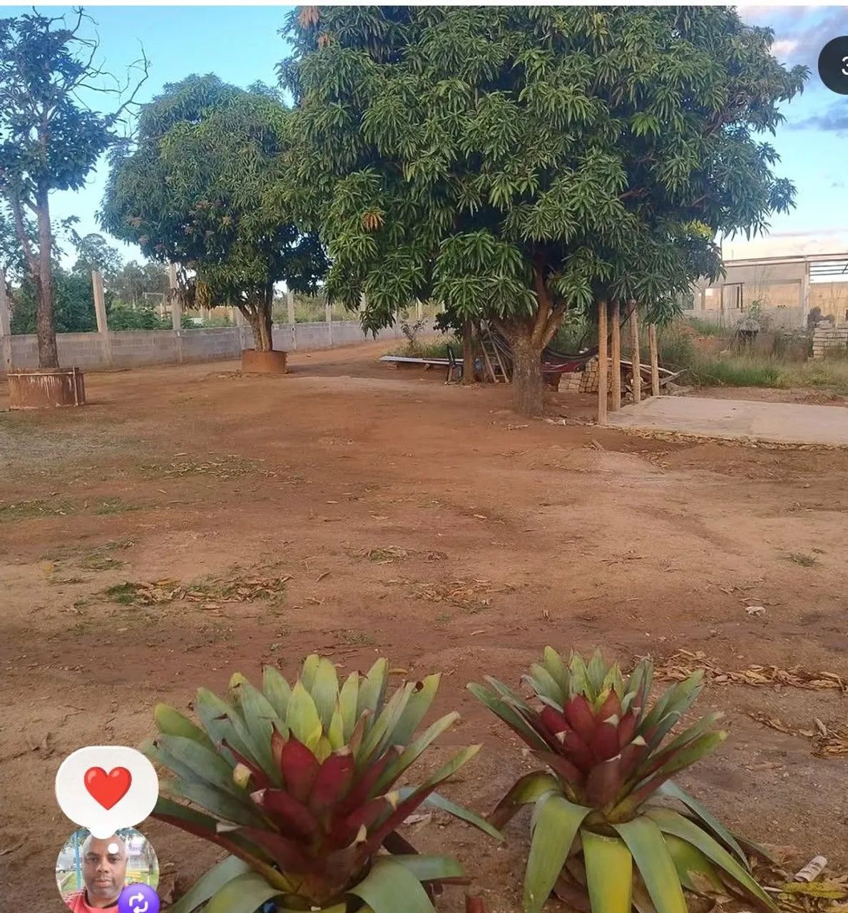 Diária 950  - Foto 5
