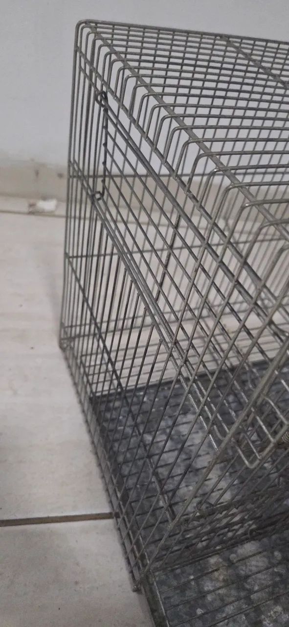 Gaiola criadeira aramil  - Foto 5