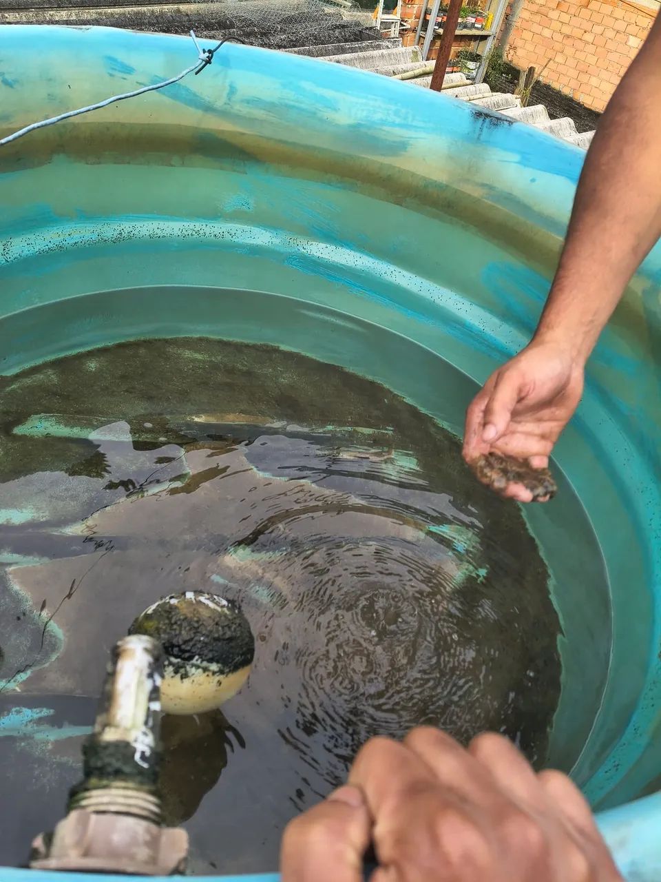 Limpeza de caixa de água/ reservatórios