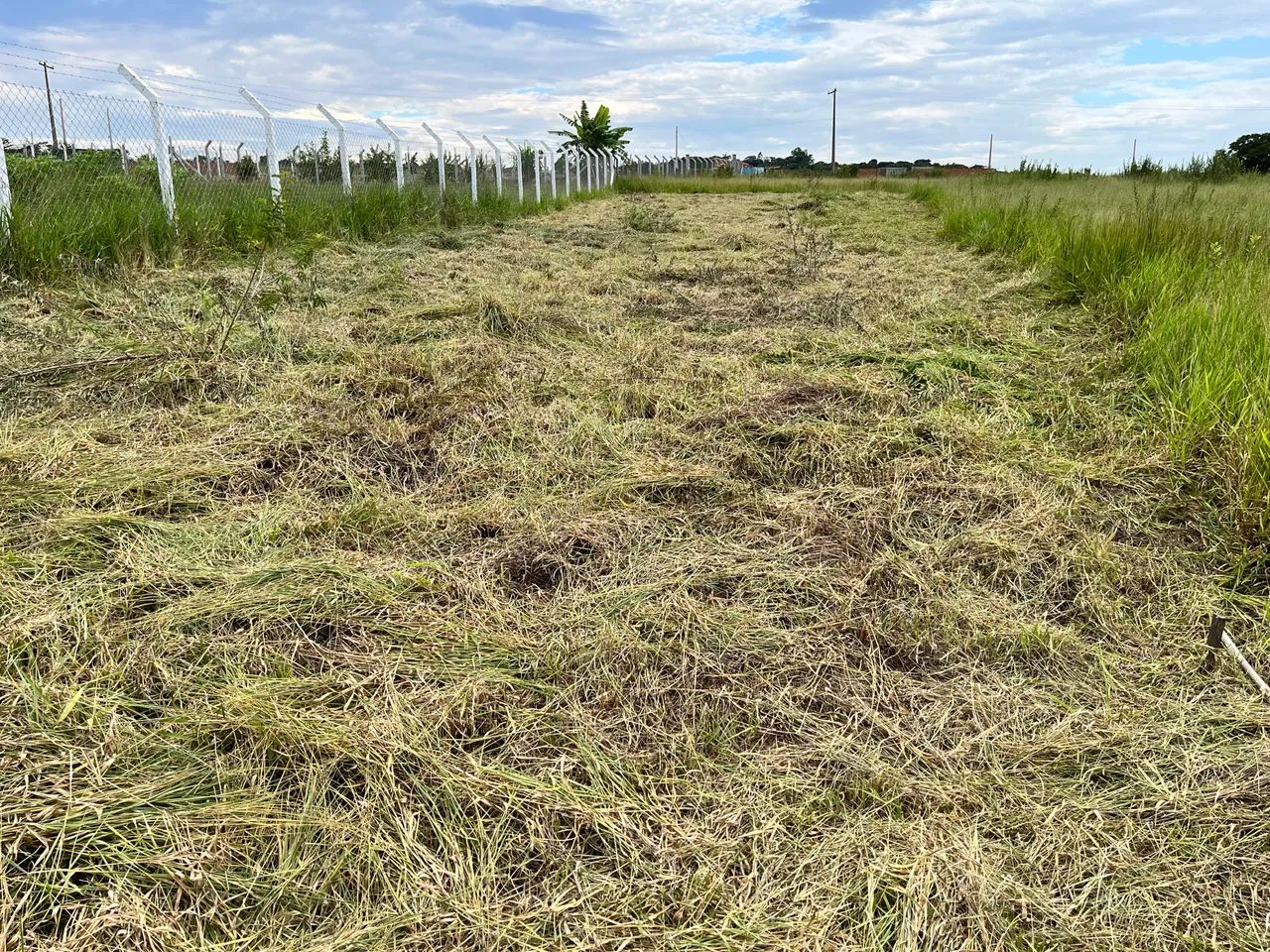 Foto - Rio Claro - Jardim Santa Clara I