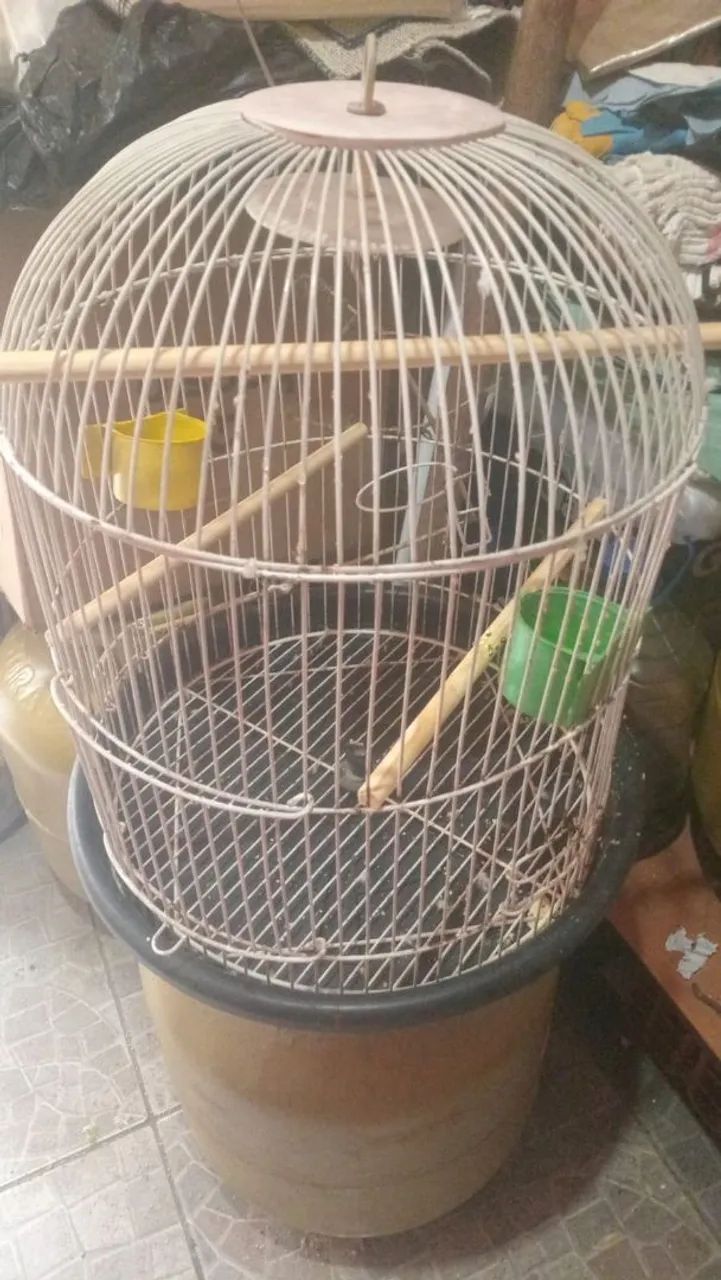 Gaiola 