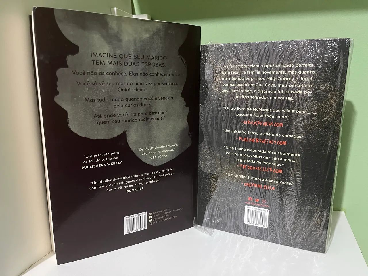 Livro As Esposas e Os Primos  - Foto 2