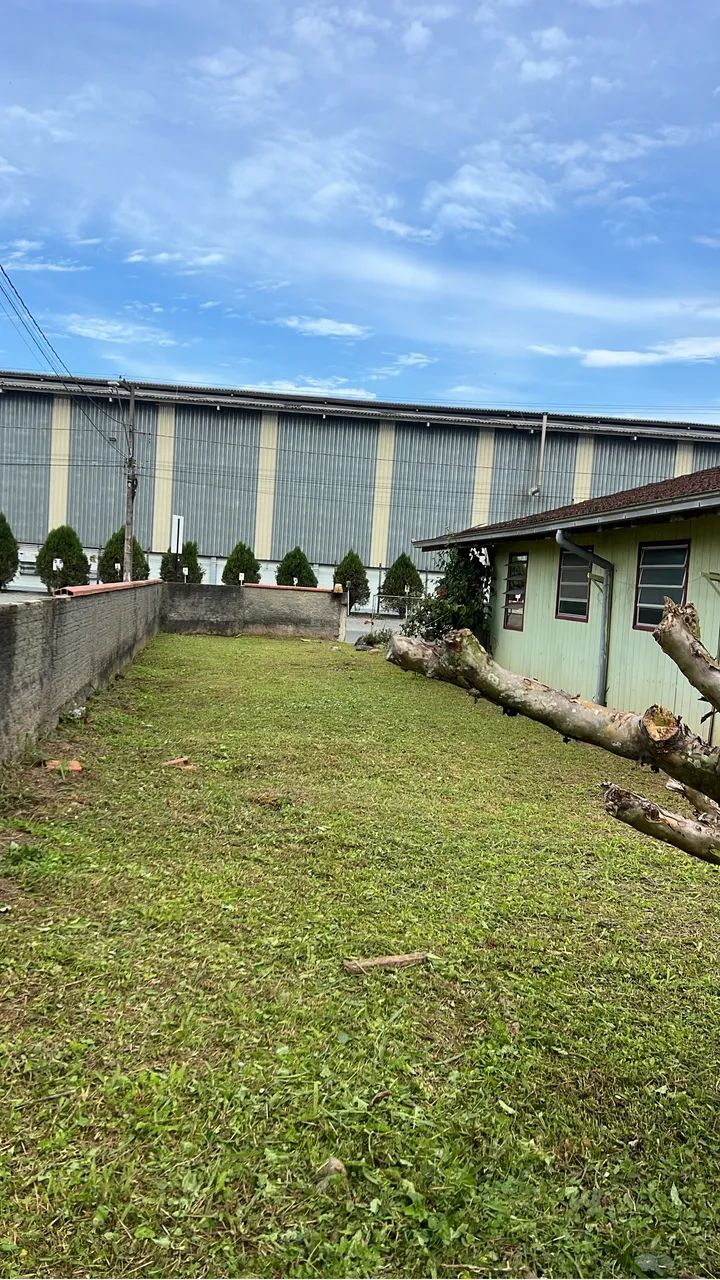 Roçadas de lotes, corte de mato alto.  - Foto 2
