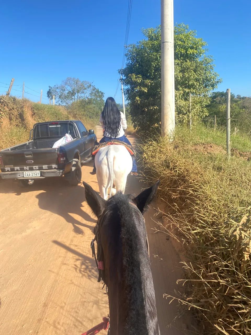 Vendo cavalo de CHARRETE e sela  - Foto 4