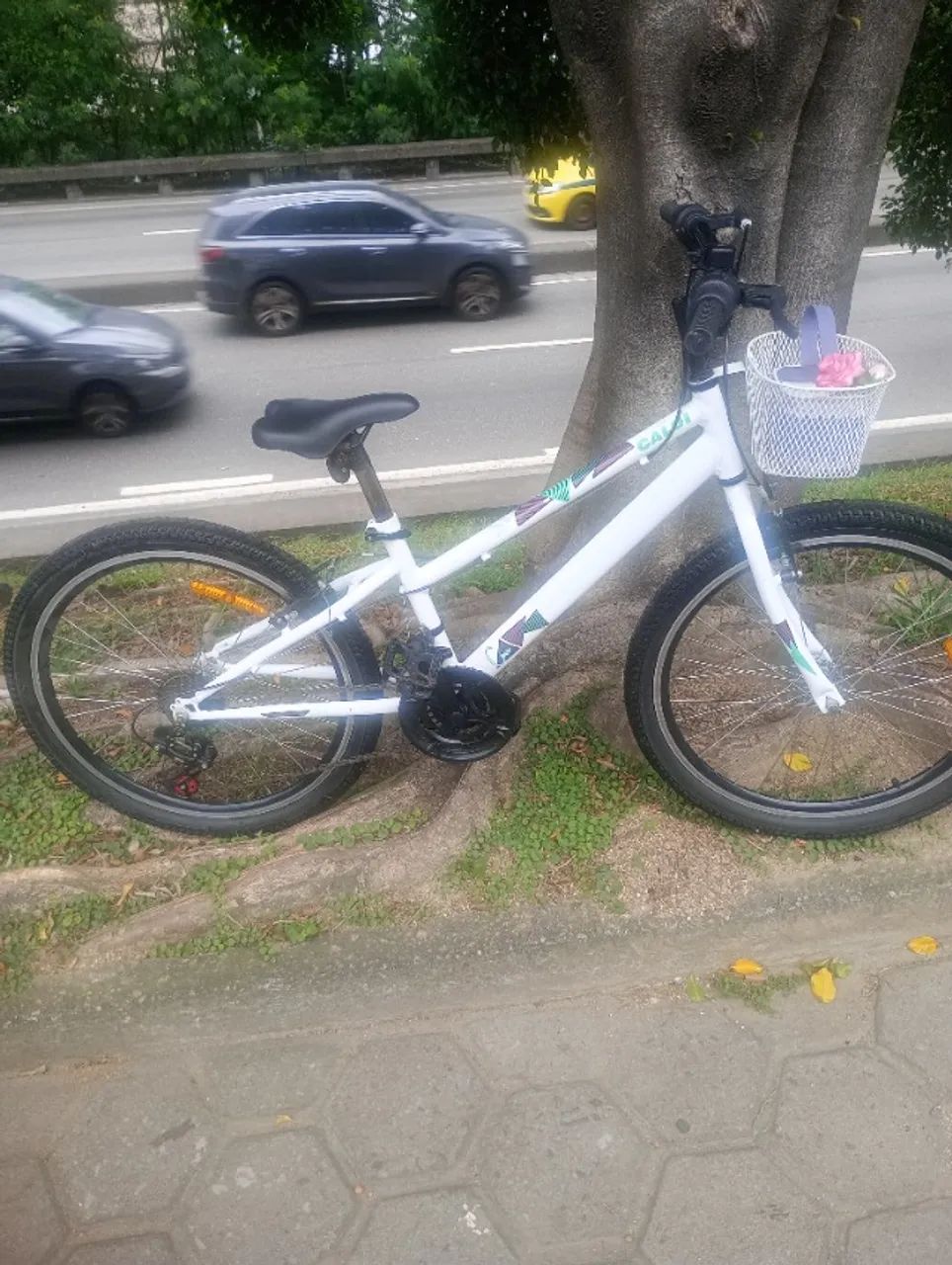? bicicleta 