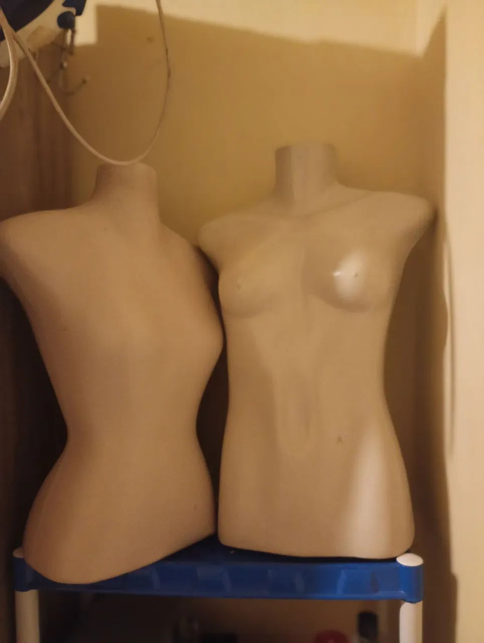 Manequins bustos femininos ( par)