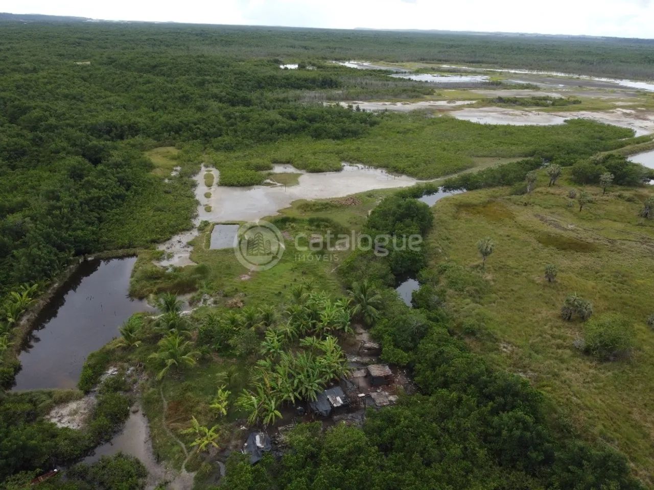 Canguaretama 500 Hectares - Foto 3