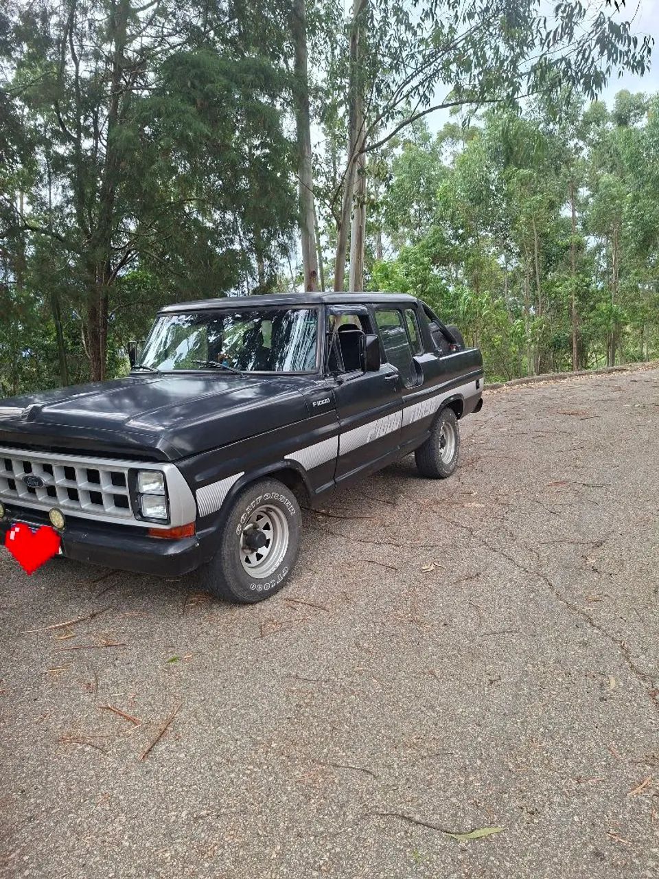 F1000 mwm229 