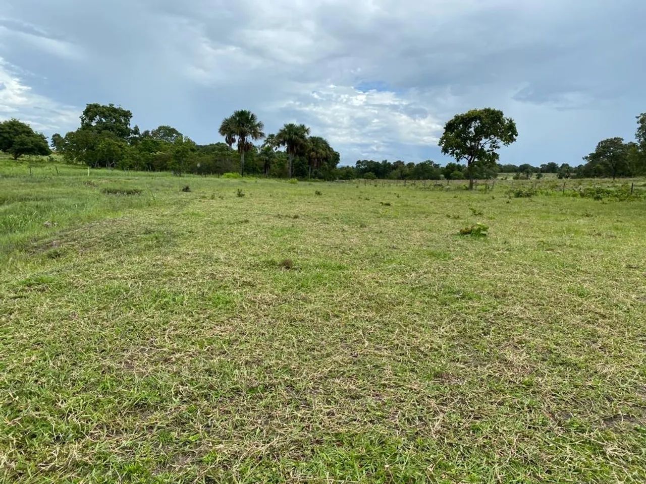 Fazenda em Itapirapuã- Goiás - Foto 2