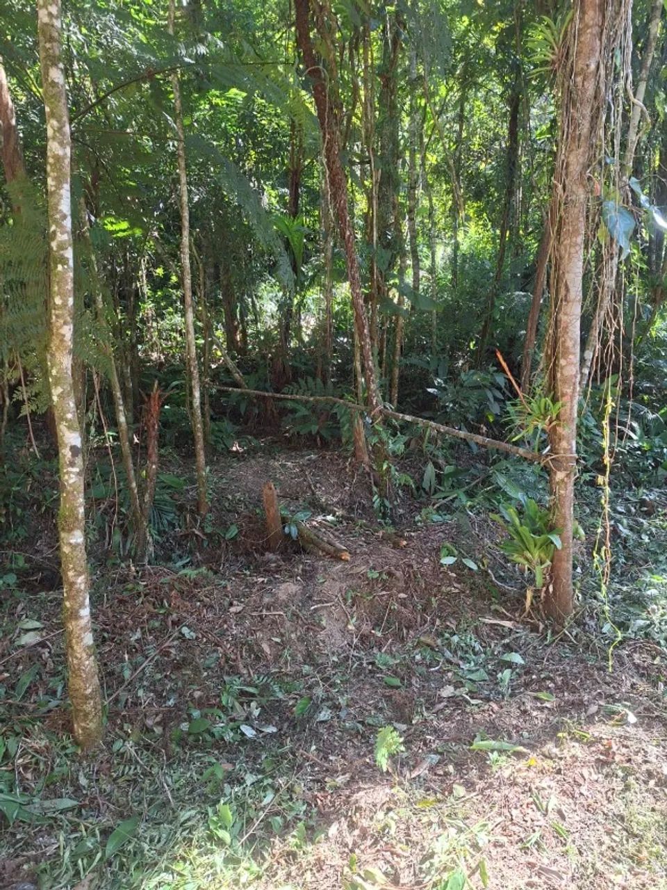 Terreno 5.000ms- Ótimo preço, aceito troca. - Foto 4
