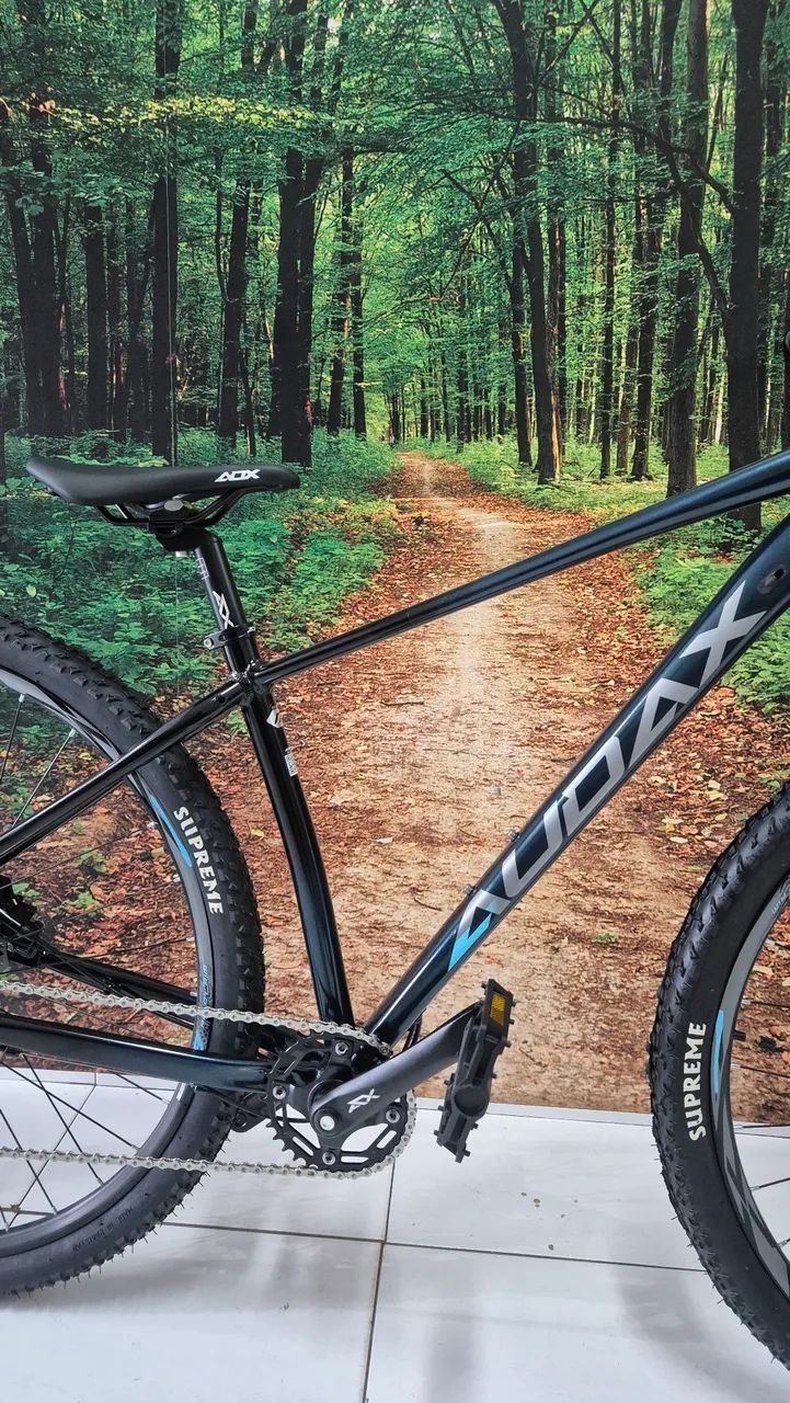 Bicicleta aro 29 audax