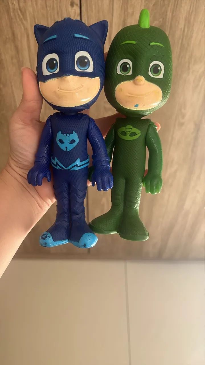 Lagartixo e menino gato