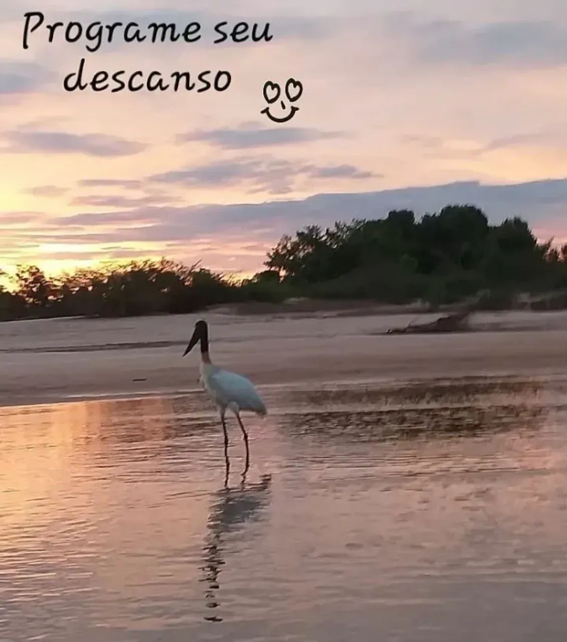 Casa com vista para rio Araguaia - Foto 4