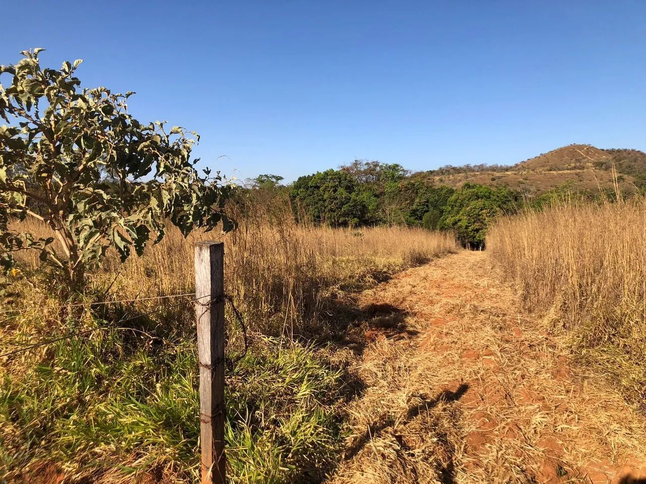 Chácara com córrego  - Foto 3