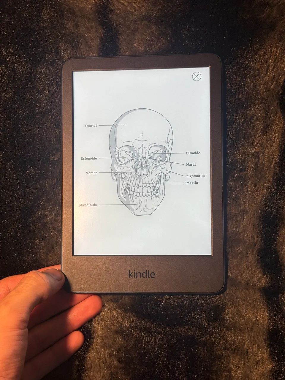 Kindle 16gb (11a geração) - Foto 2