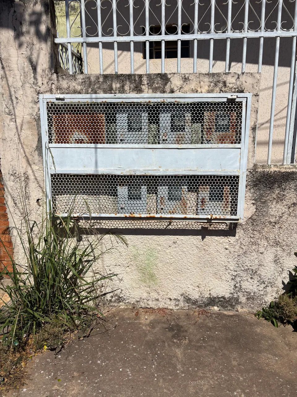 Vendo 6 Kitnets na Ceilândia Norte. - Foto 3