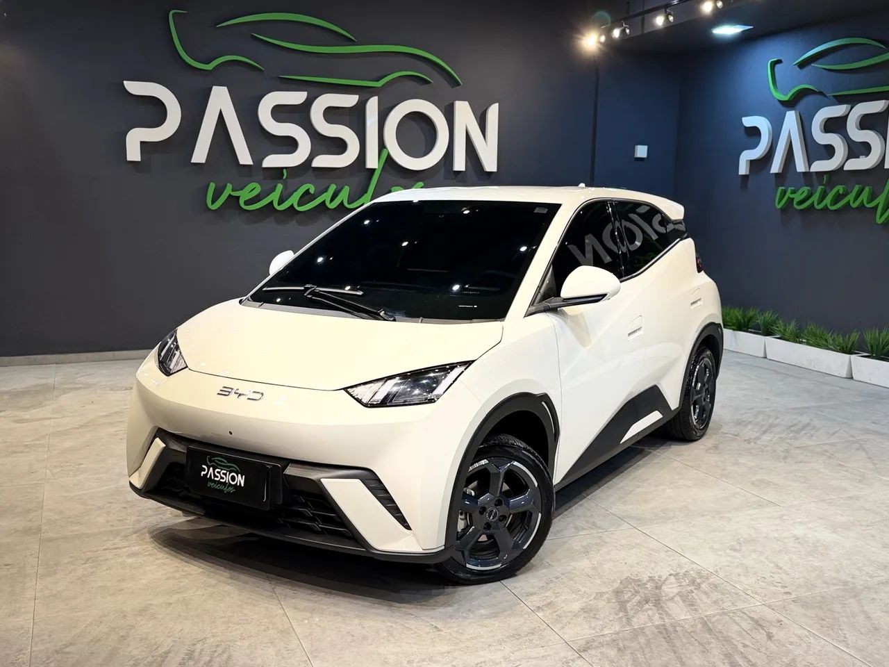 BYD Dolphin Mini (Elétrico) 2025 - Foto 2