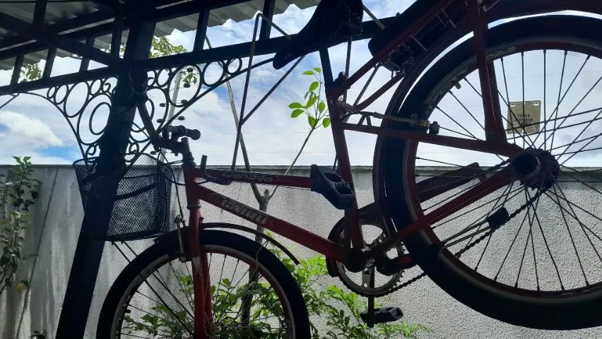 Bicicleta pote aro 24 vermelha 