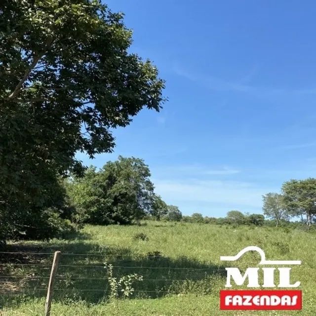 1080 Alq. (5.228 HÁ) Cocalinho -MT