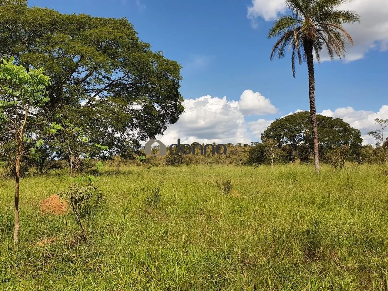 Fazenda à venda, Centro - Coromandel/MG - Foto 5