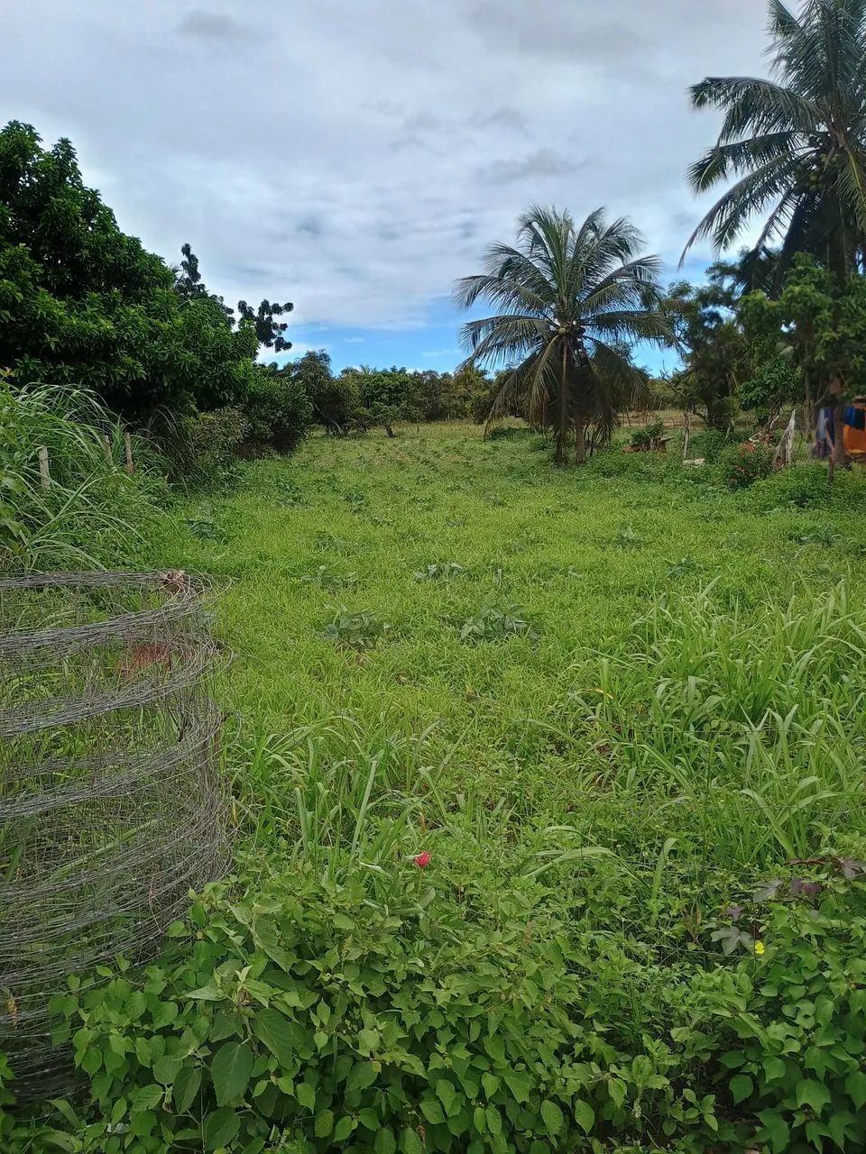 Vendo Terreno em Pureza RN  - Foto 3