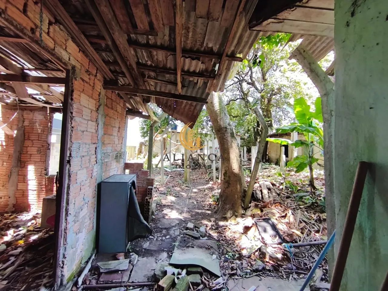 Terreno em Jardim Atlântico, Florianópolis/SC - Foto 5