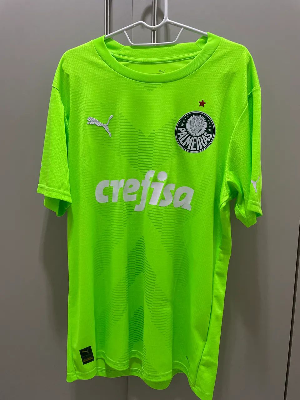Camisa Palmeiras 2023