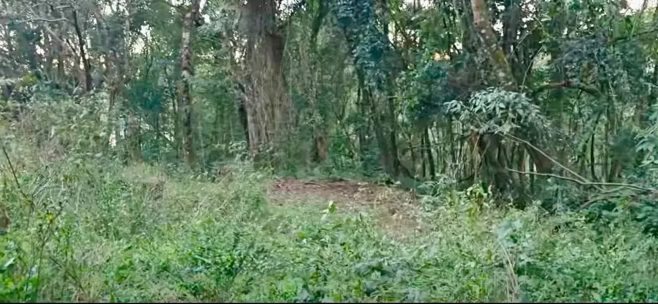 Cachoeira das montanhas - Foto 3