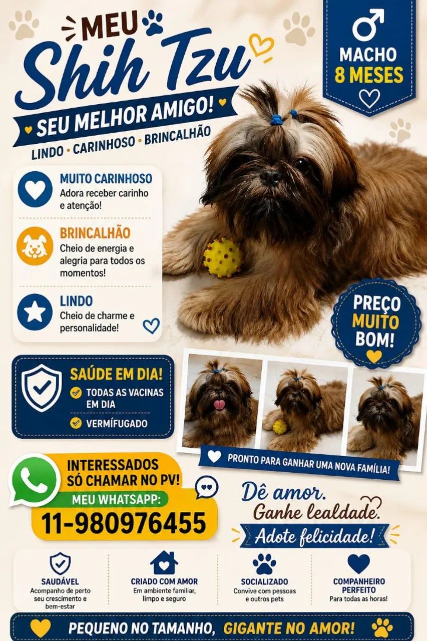 Shitzu macho  - Foto 2