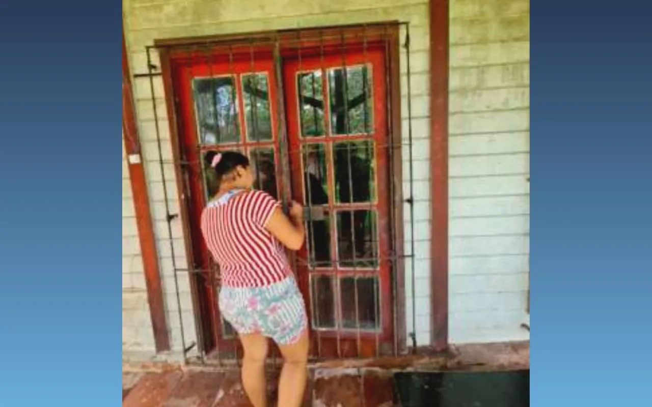 Terreno à Venda - Marituba, Ananindeua - Foto 3