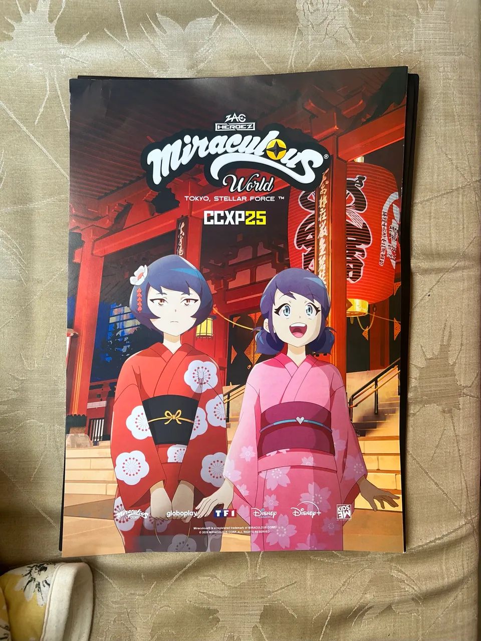 Pôster Miraculous World