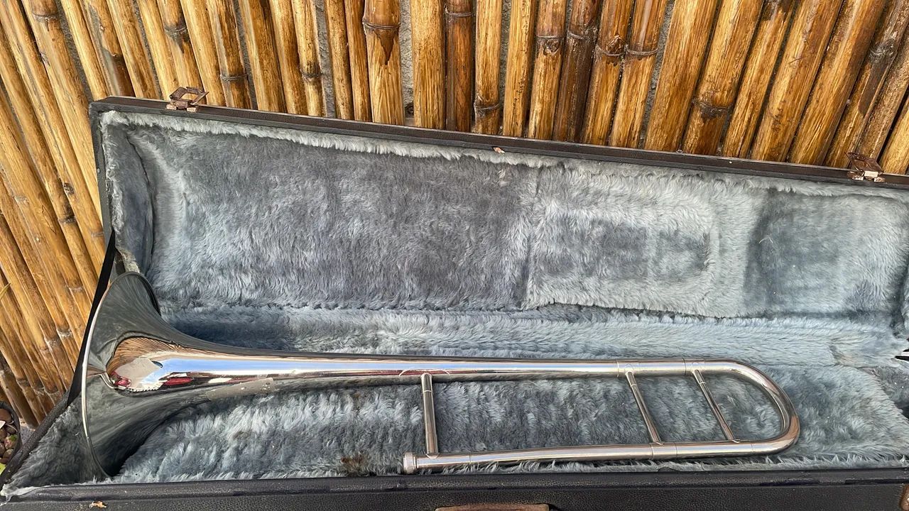 Trombone de Pisto  - Foto 4