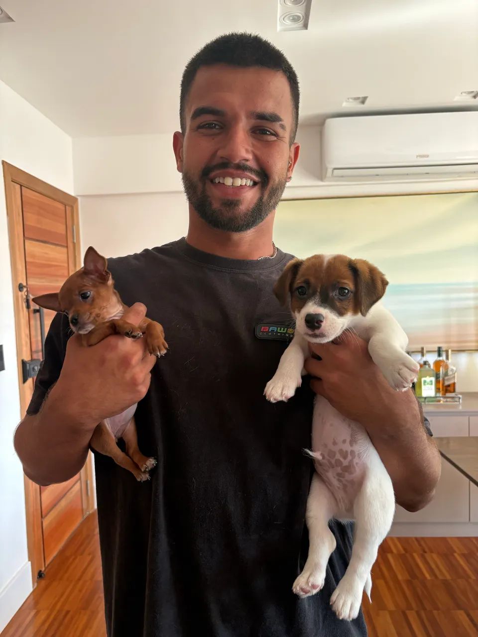 Adestramento de cães  - Foto 2