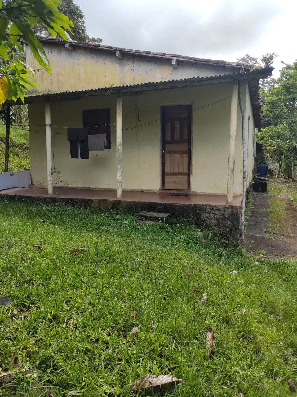 Excelente Sítio na beira da estrada ilhéus Itabuna  - Foto 5